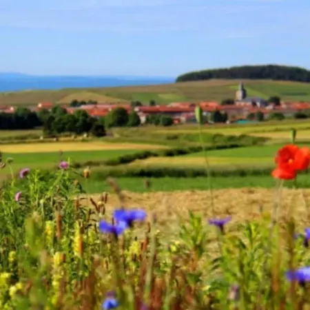 Cosy Privative Avec Sdb Alloggio in famiglia *